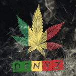 Avatar člena