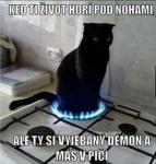 Avatar užívateľa